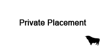 Private Placement im Börsen ABC